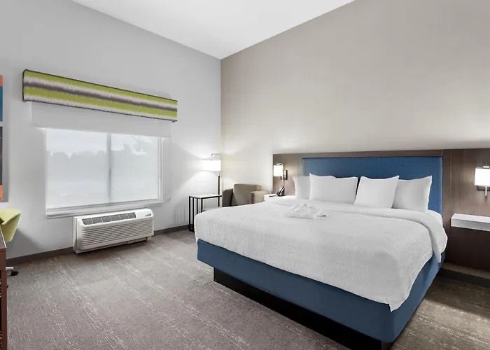 Hampton By Hilton Chicago Hotel 3*